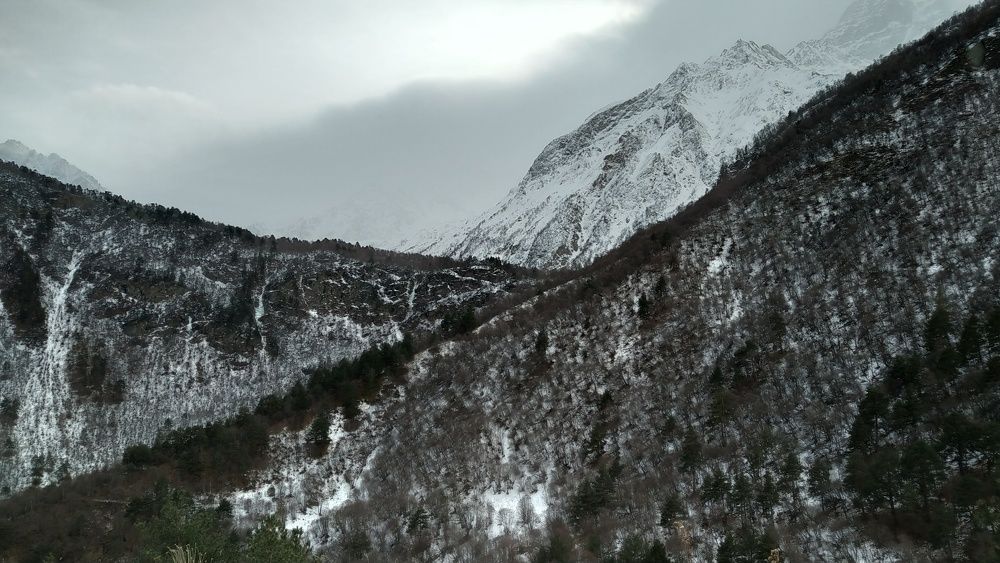 Photograph by Alexandr