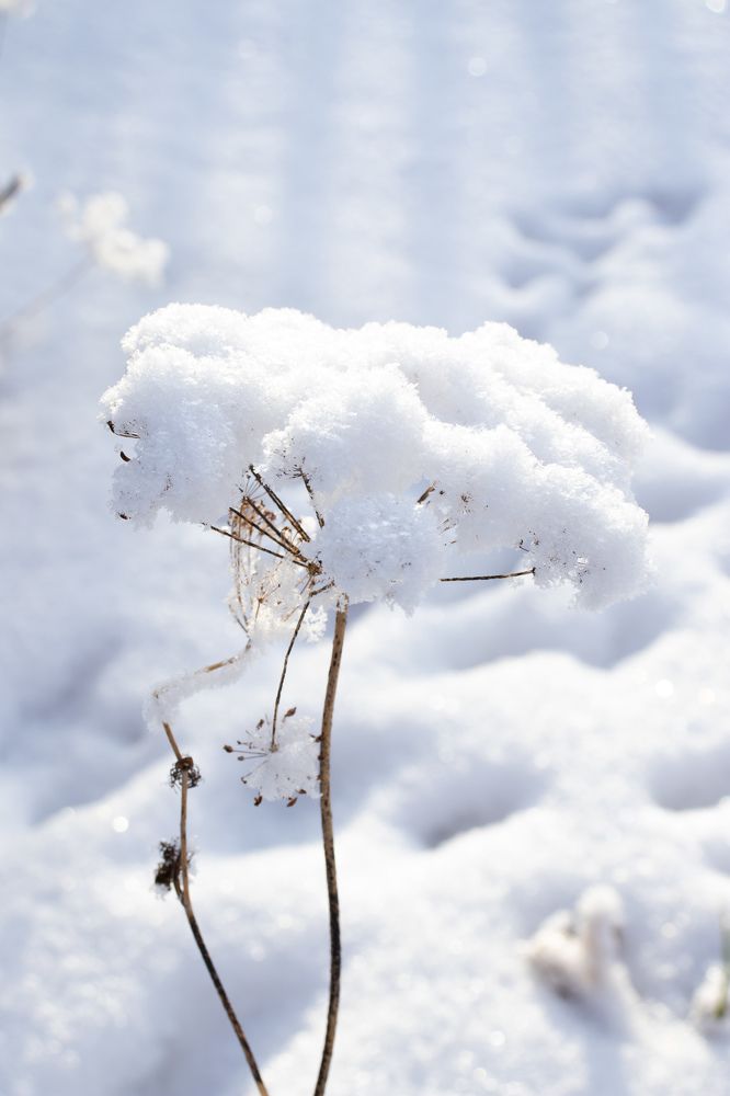 Photograph by Наталья Мотрий