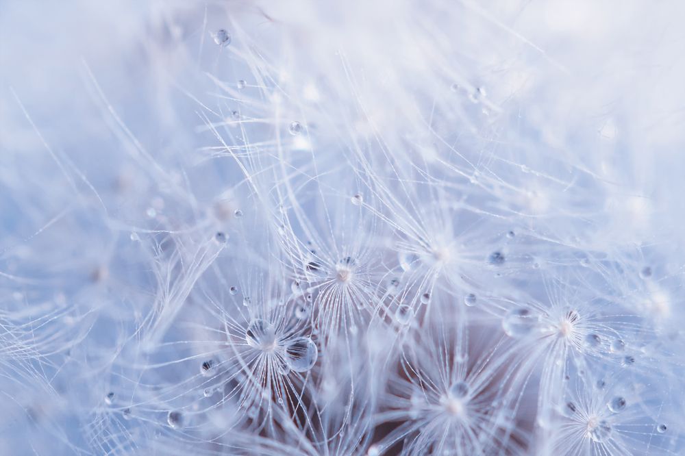 Photograph by Марина Хилько