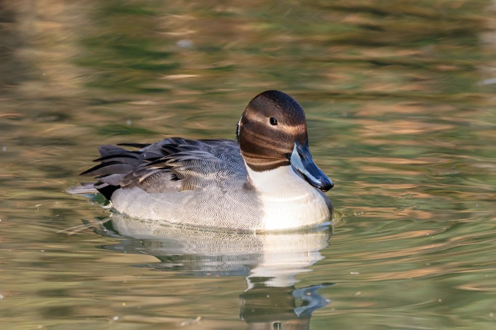Photograph by Антон Мироненко-Маренков