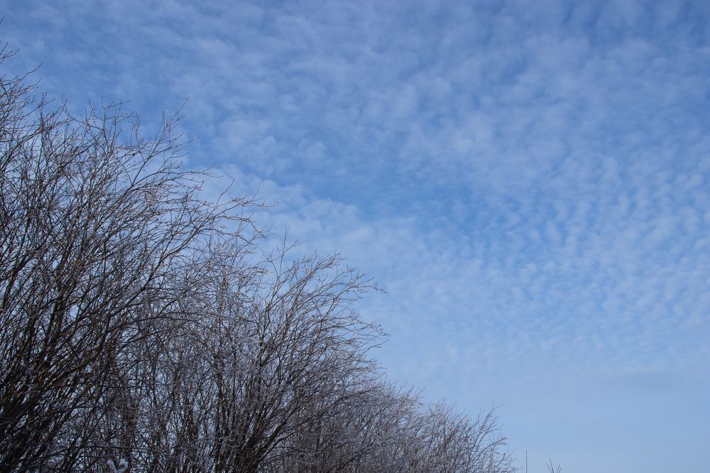 Photograph by Наталья Мотрий