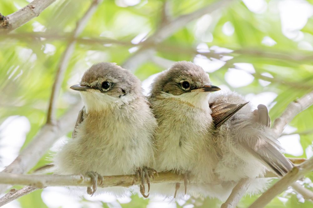 Photograph by Антон Мироненко-Маренков