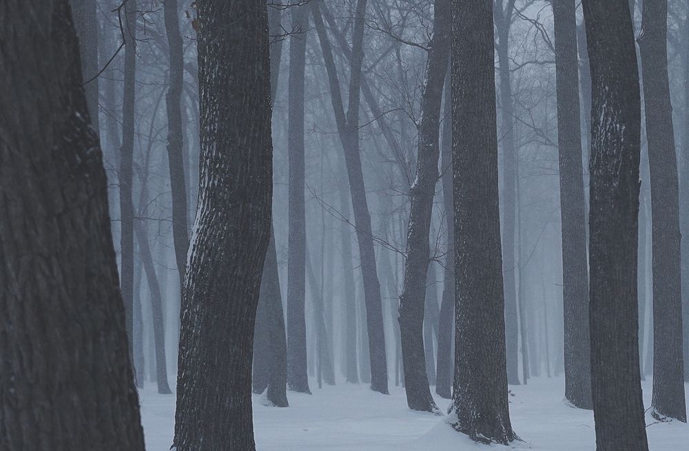 Photograph by Ксения Щербакова