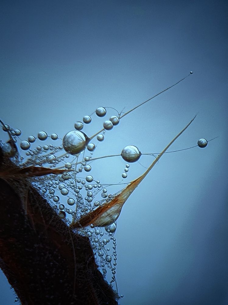 Photograph by Лариса Когтева