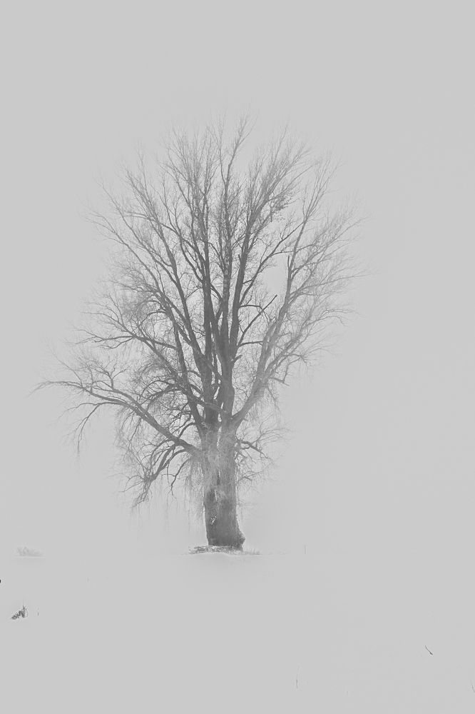 Фотография автора Justyna Jeżak