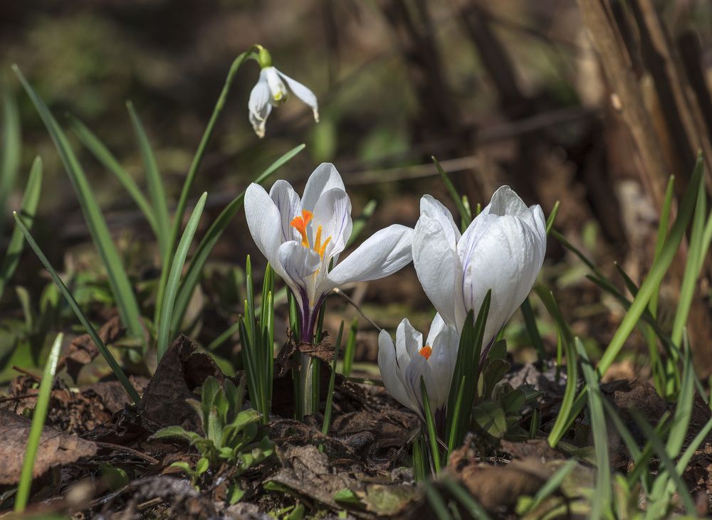 Photograph by Татьяна Шахова