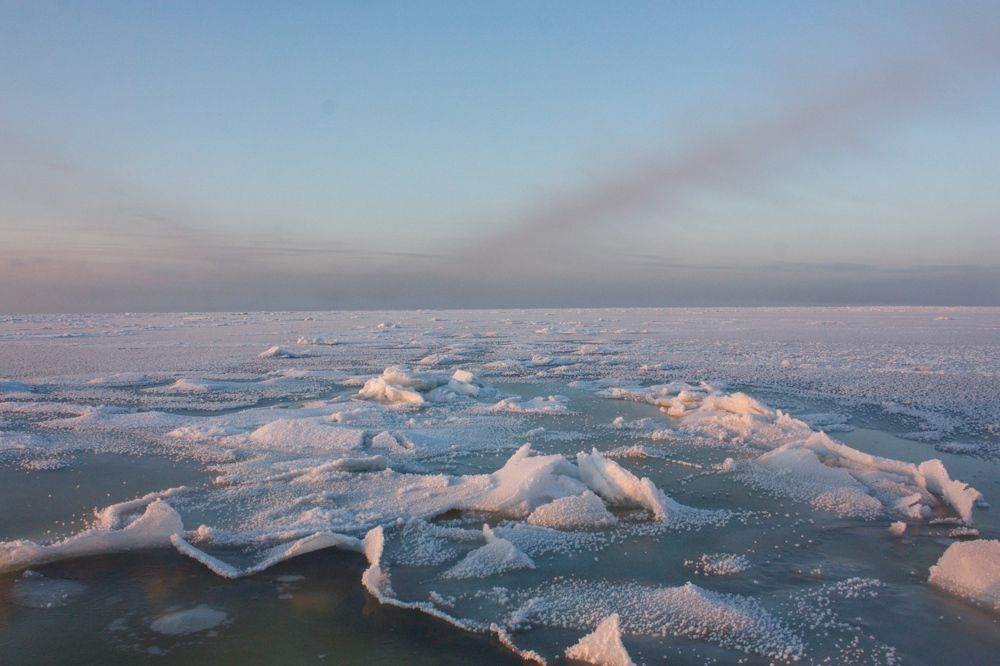 Photograph by Никита Павлов