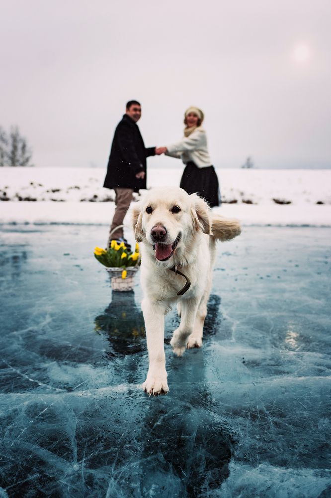 Photograph by Гузель Мирошкина