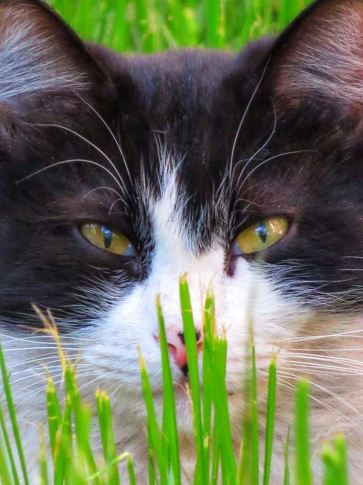 Фотография автора Марина Алексеевская
