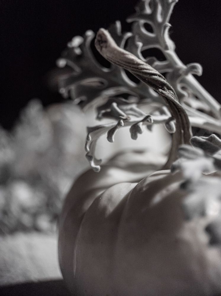 Фотография автора Марина Алексеевская