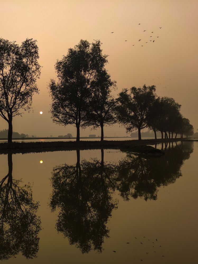 Beauty of afternoon.