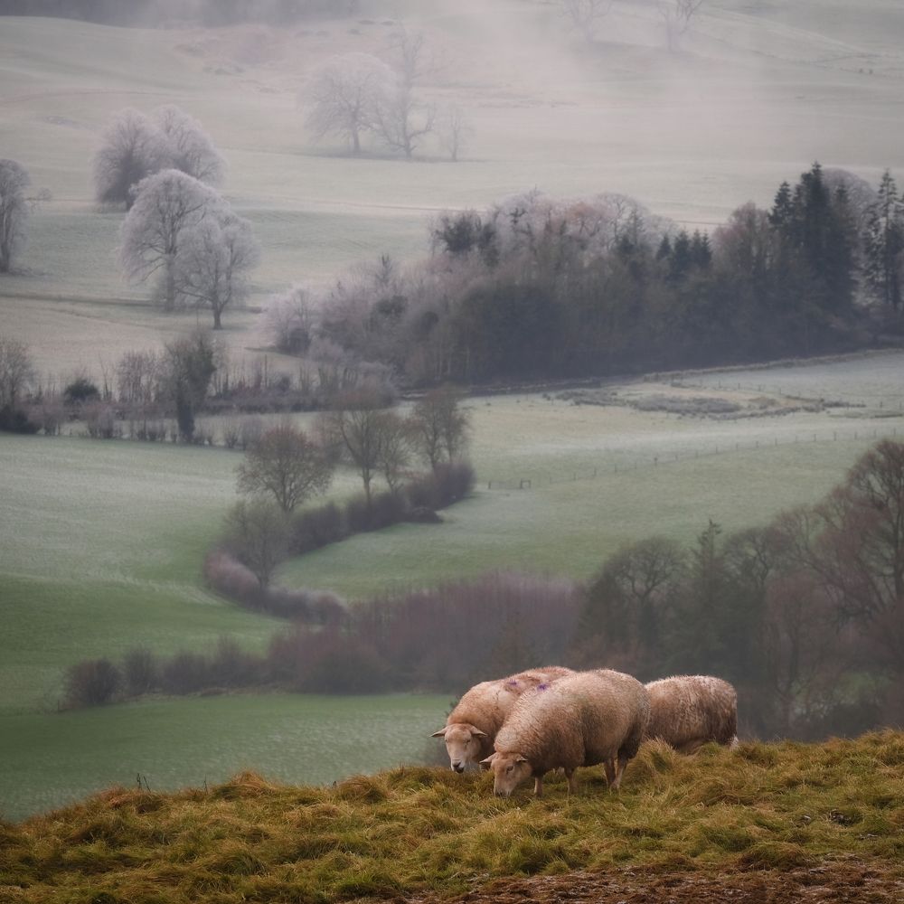 Фотография автора Kanstantsin Markevich