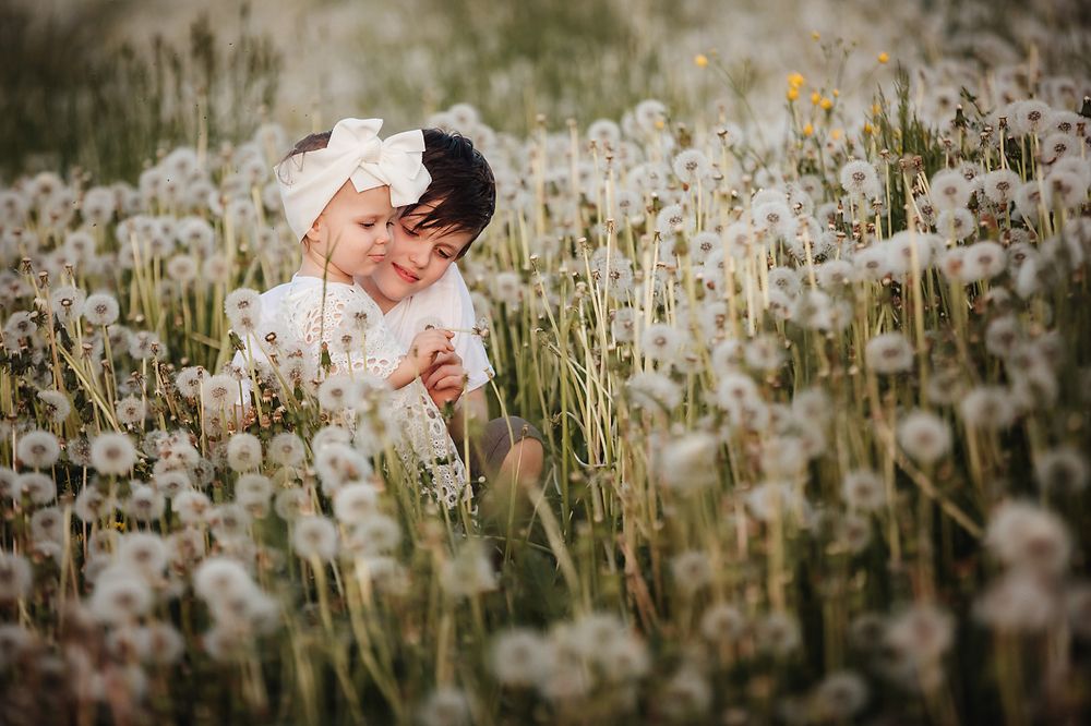 в одуванчиках