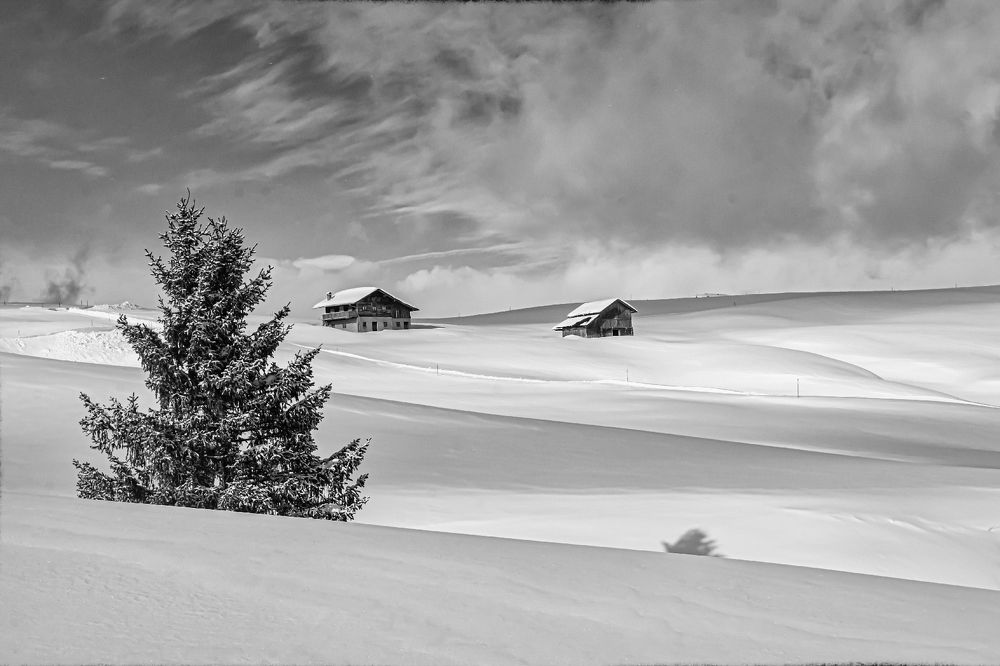 Photograph by Dmitry Ozersky