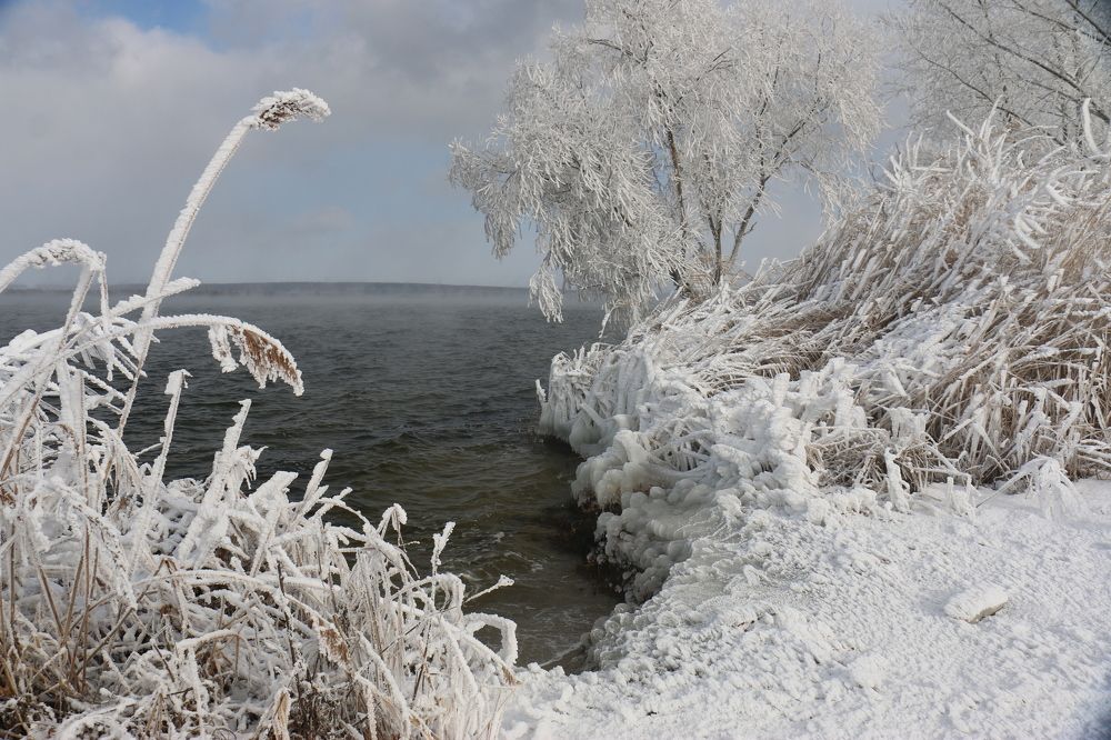 Зимний берег