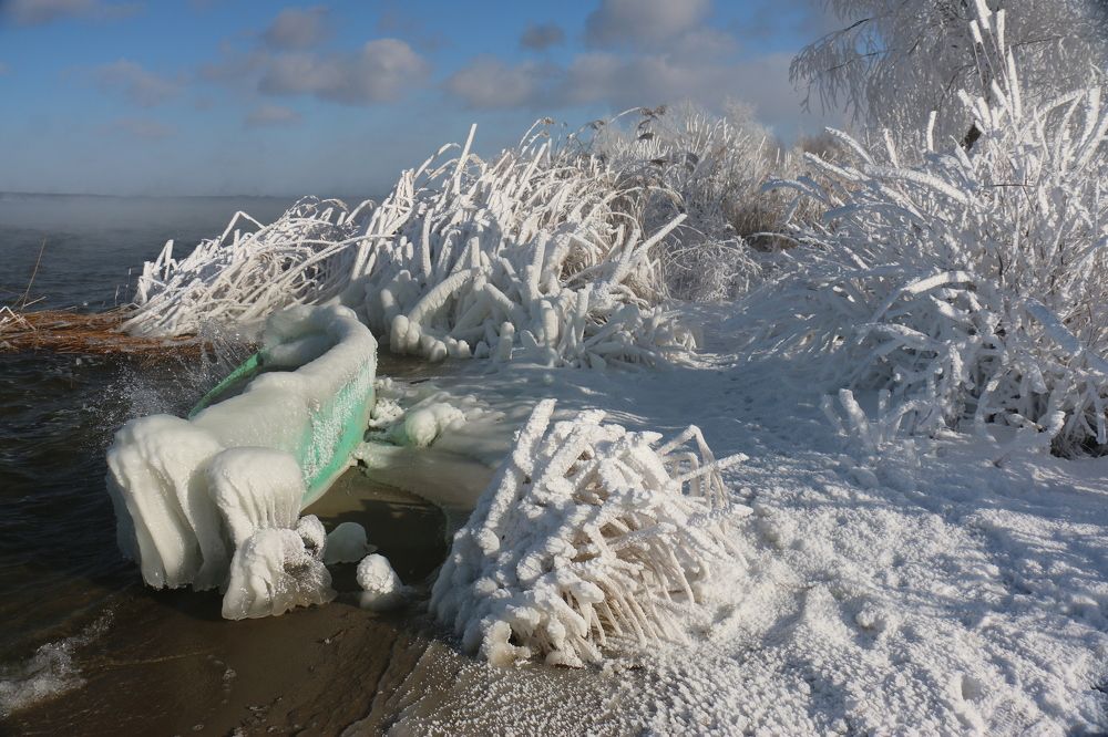 Зимний берег озера