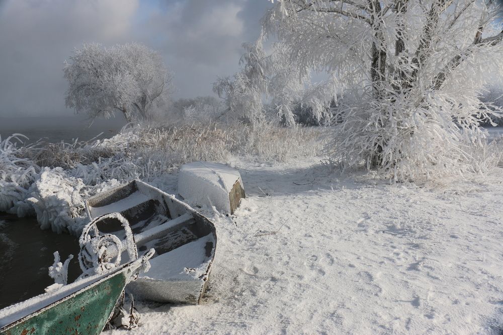 Зимний берег озера