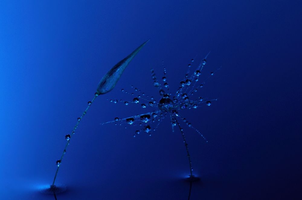 Романтическая ночь