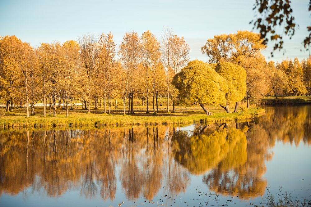 Золотая осень Golden Autumn