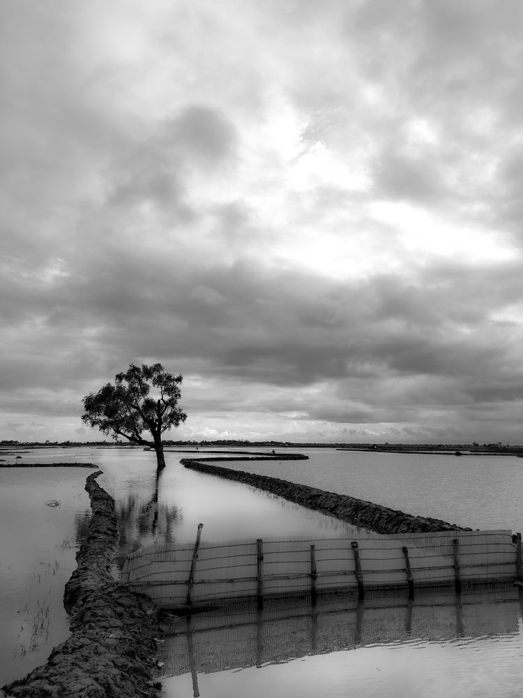 Photograph by Joy Mondal