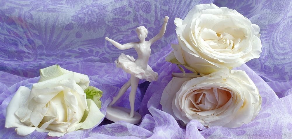 Застывшая гармония