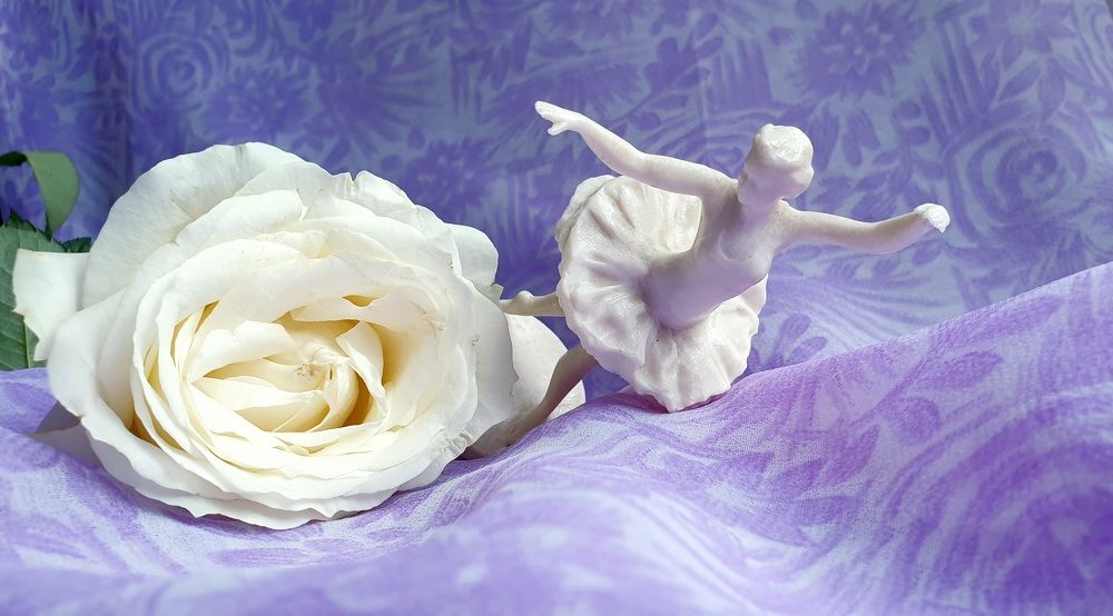 Застывшая гармония