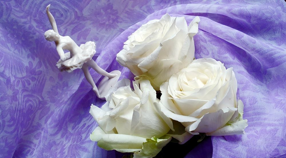 Застывшая гармония