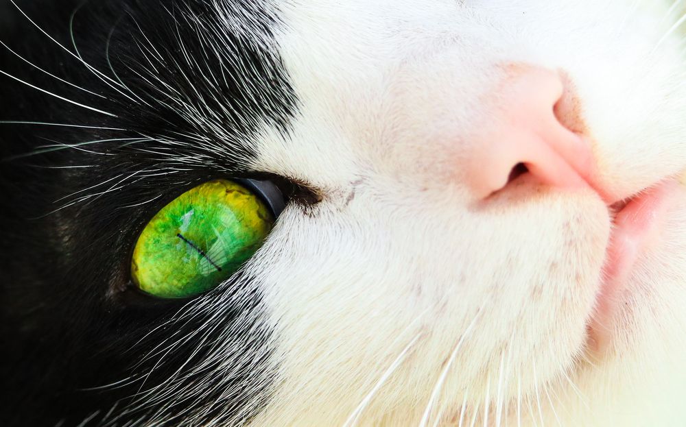 Photograph by Nahyan Nihal