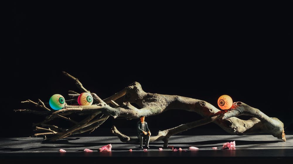 Photograph by Nahyan Nihal