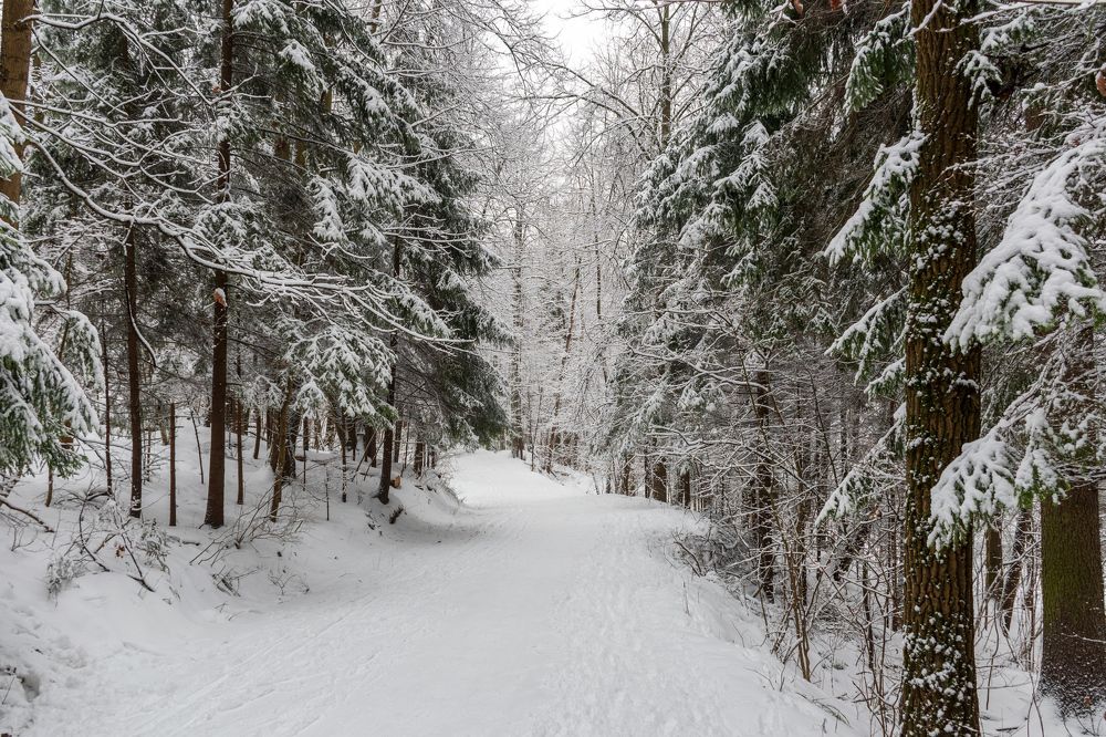 Photograph by Валерий Петухов
