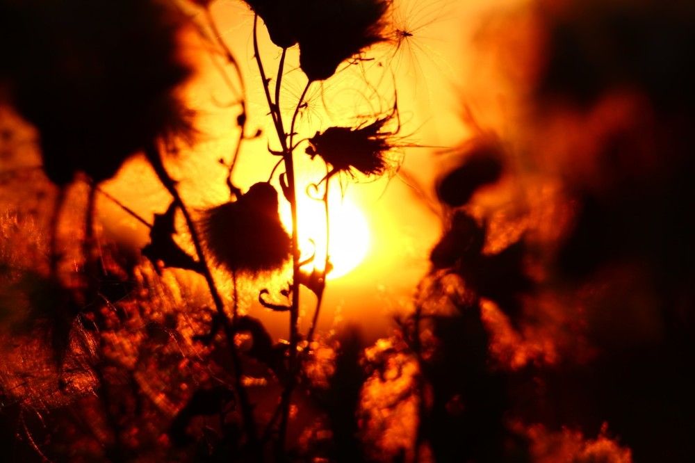 Палитра заката