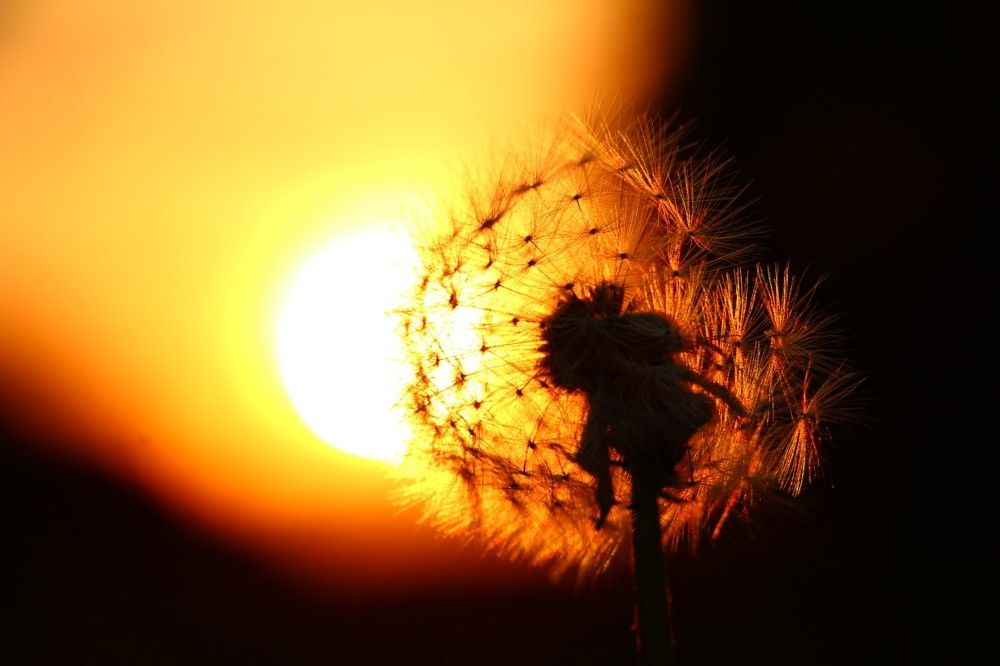 Палитра заката