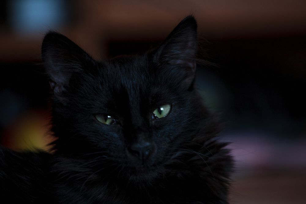 Photograph by Максим Миронов