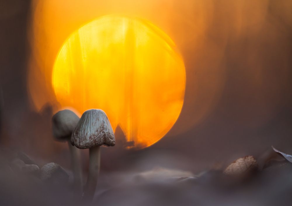 "Встречая рассвет...."