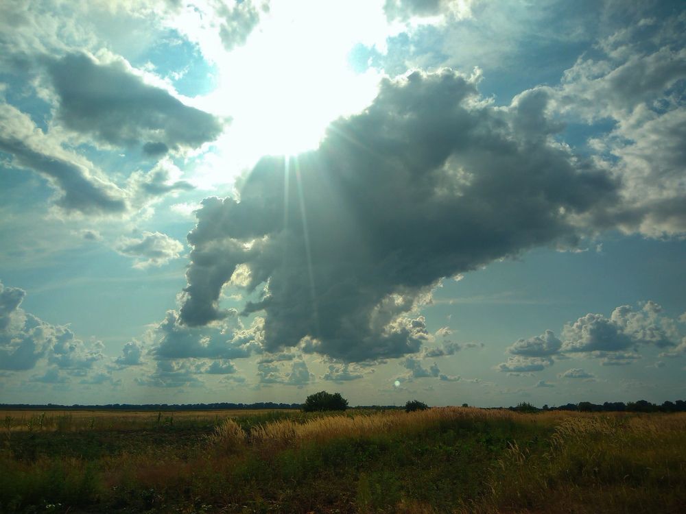 Photograph by Дарья Малашинская