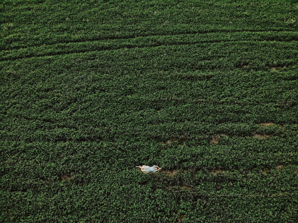 Photograph by Ольга Сморжанюк