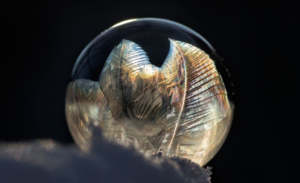 Photograph by Тараненко Анжелика