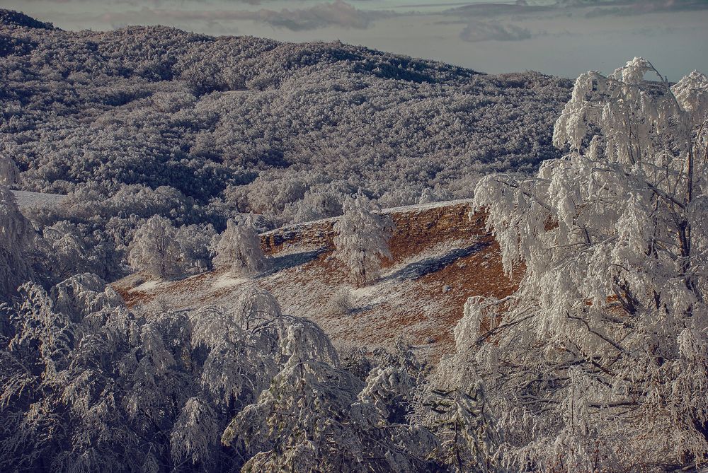 Снежок на Ай-Петри