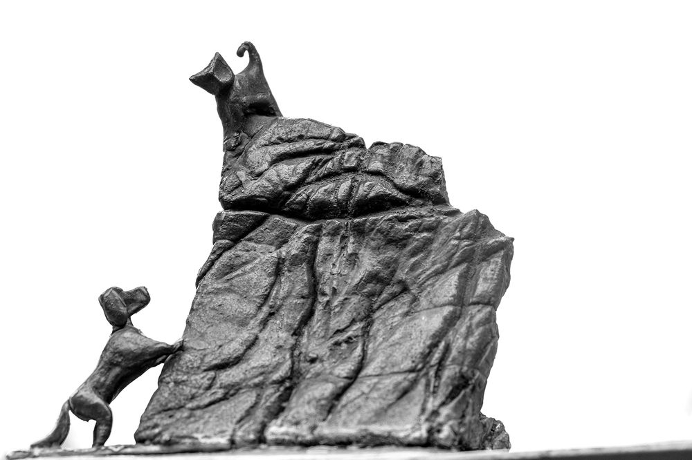 Фотография автора Anna