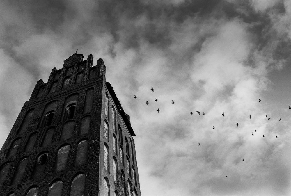 Photograph by Александр Дроздов