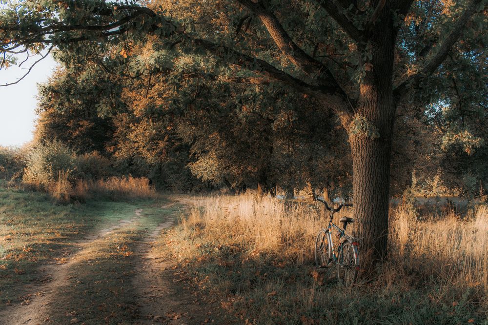 Photograph by Людмила Казак