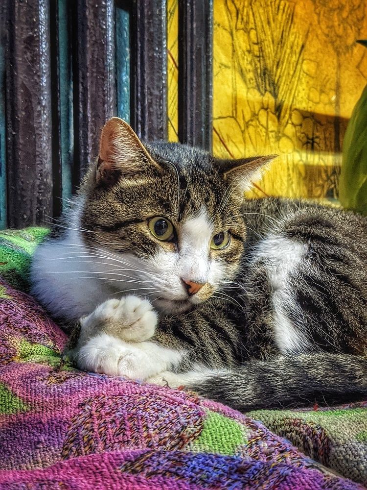 Photograph by Владимир Шаруба