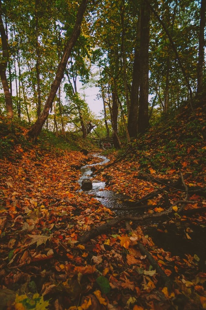 Photograph by Алексей