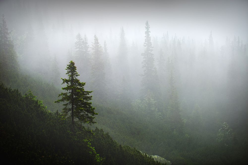 Photograph by Józef Tylka