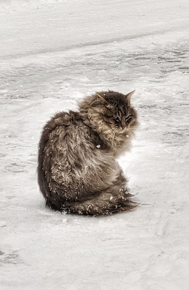 Photograph by Владимир Шаруба