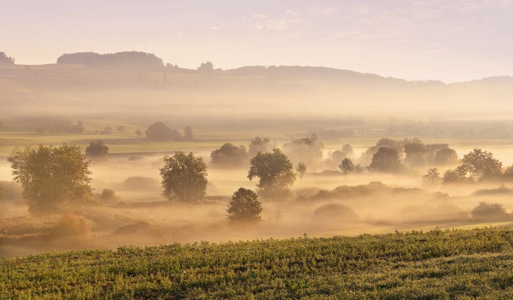 Photograph by Elena Wymann