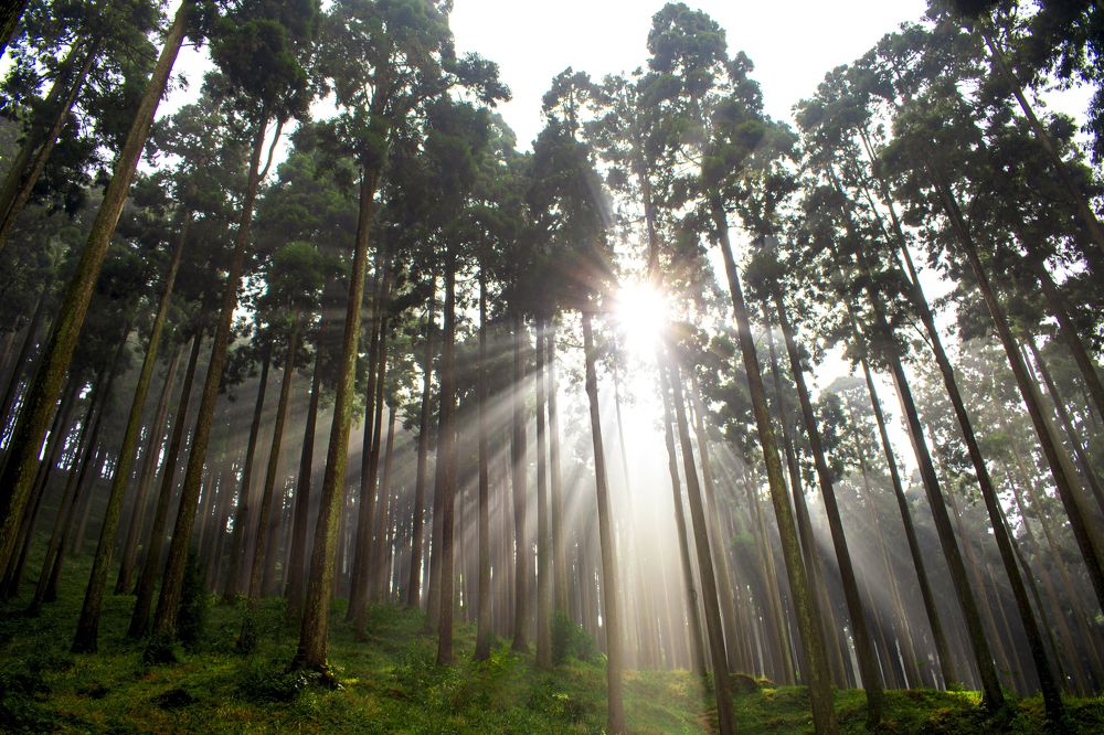 Photograph by Bishnu Goenka