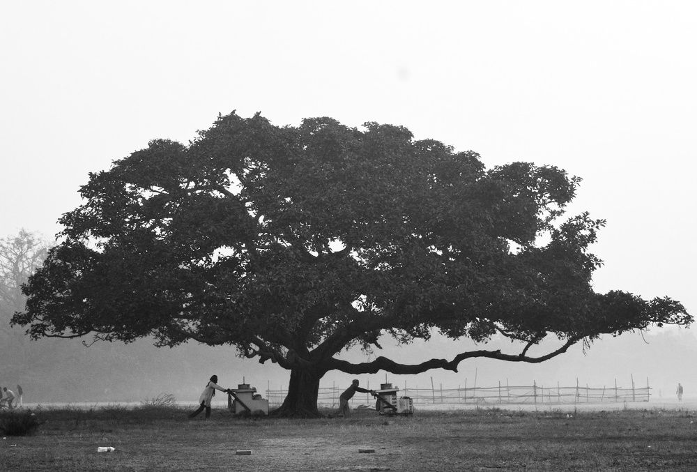 Photograph by Srijan Biswas