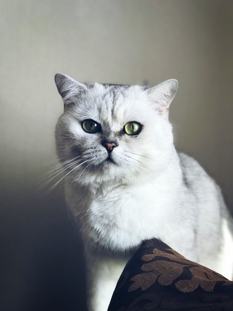 Photograph by Елизавета
