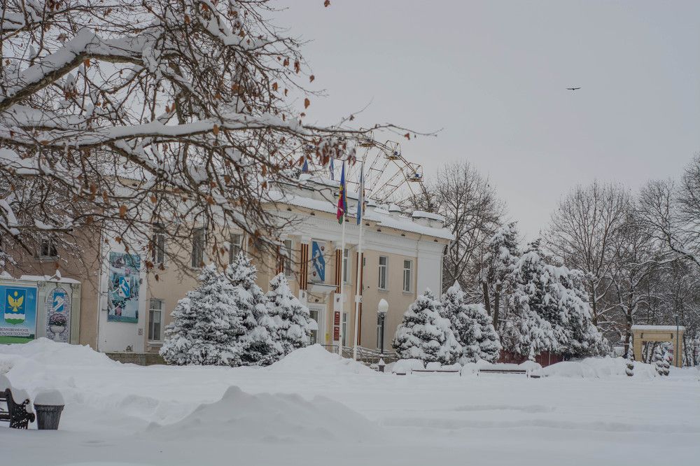 Photograph by Елена Плотникова